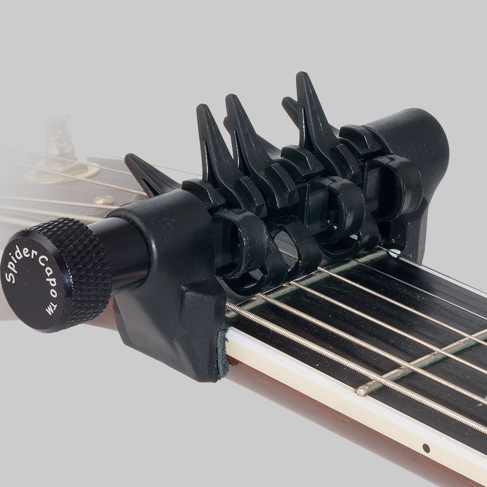 SpiderCapo Std.